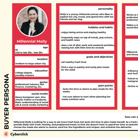 Buyer Persona Template Example Buyer Persona Template Example
