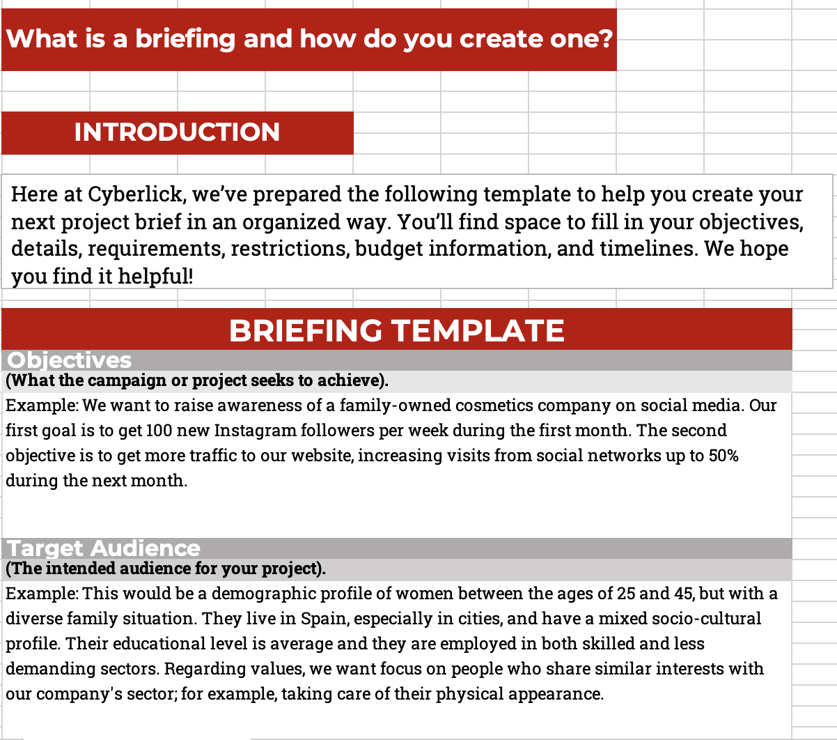 Briefing Pack Template: Create Your Project Brief Briefing Pack Template: Create Your Project Brief