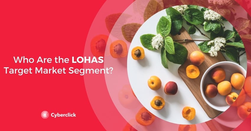 Who Are the LOHAS Target Market Segment