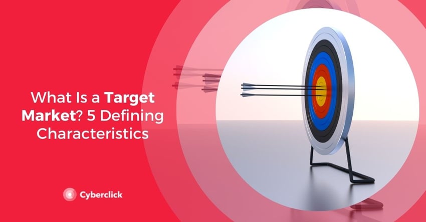 What Is a Target Market  Defining Characteristics