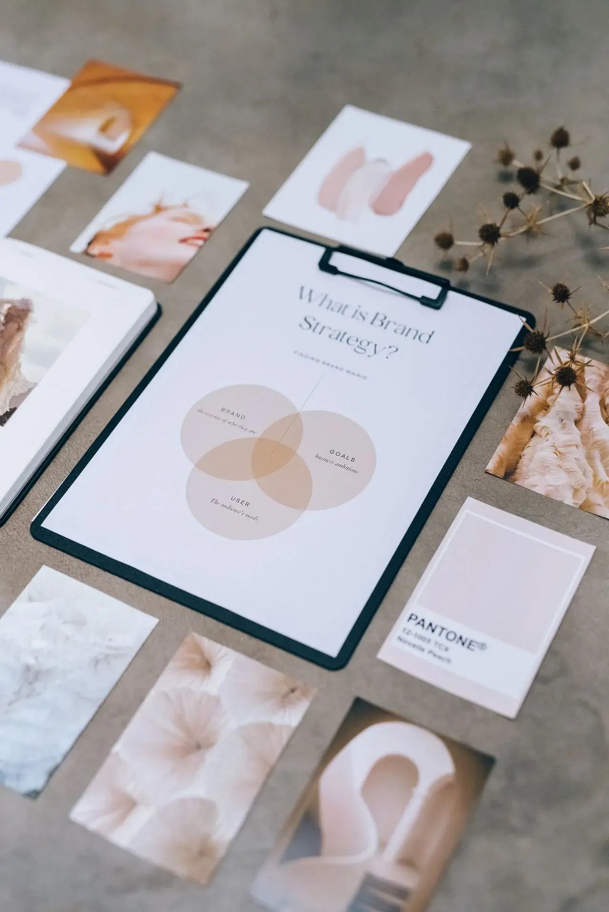 brand portfolio strategy