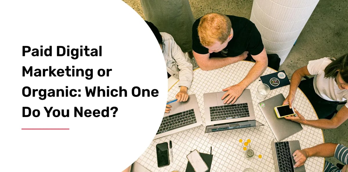paid digital marketing or organic