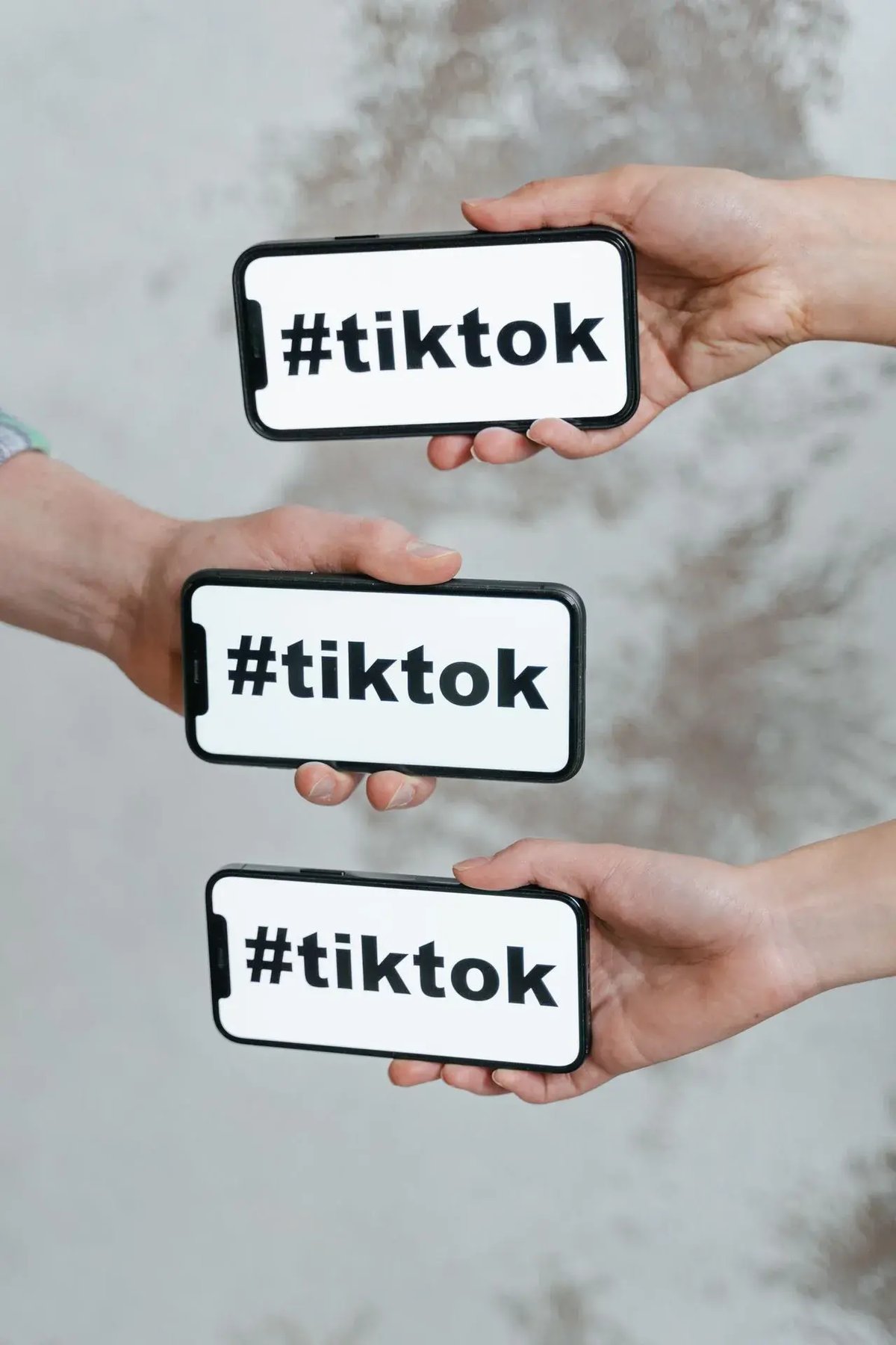 tiktok algorithm