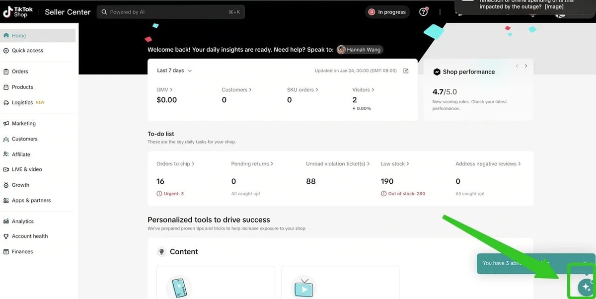 tiktok seller assistant