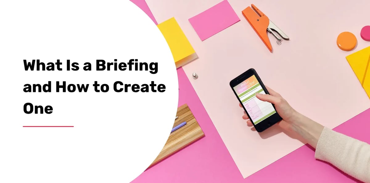 what is a briefing