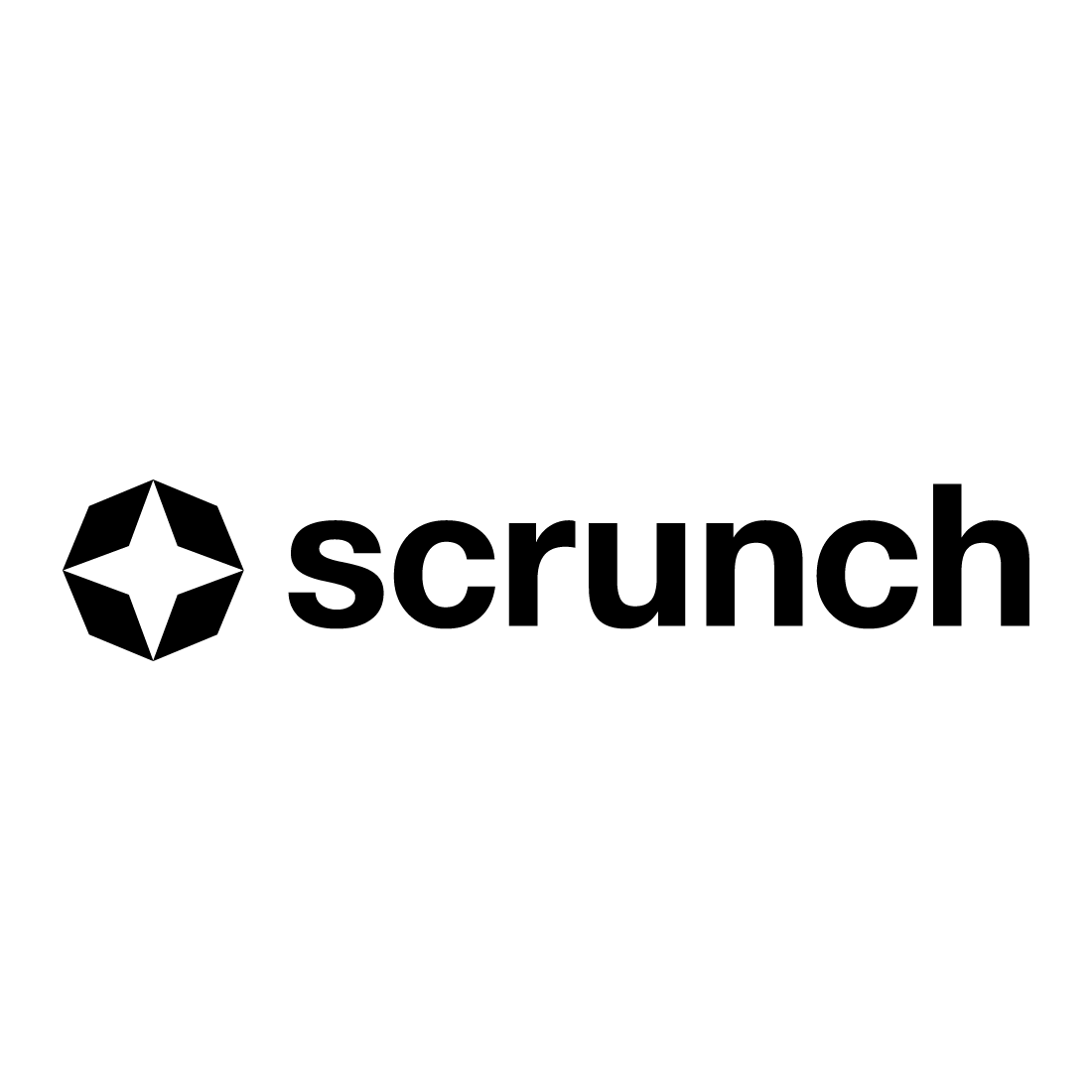 Logo_Scrunch