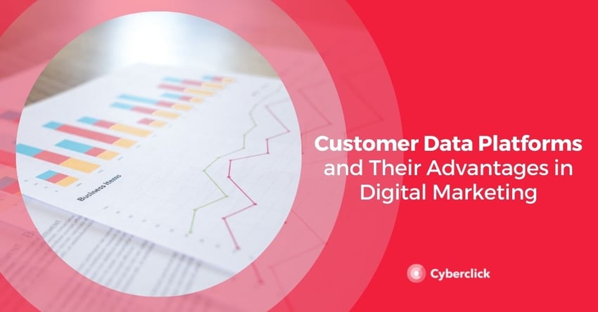 Customer Data Platforms and Their Advantages in Digital Marketing