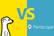 Meerkat_vs_periscope