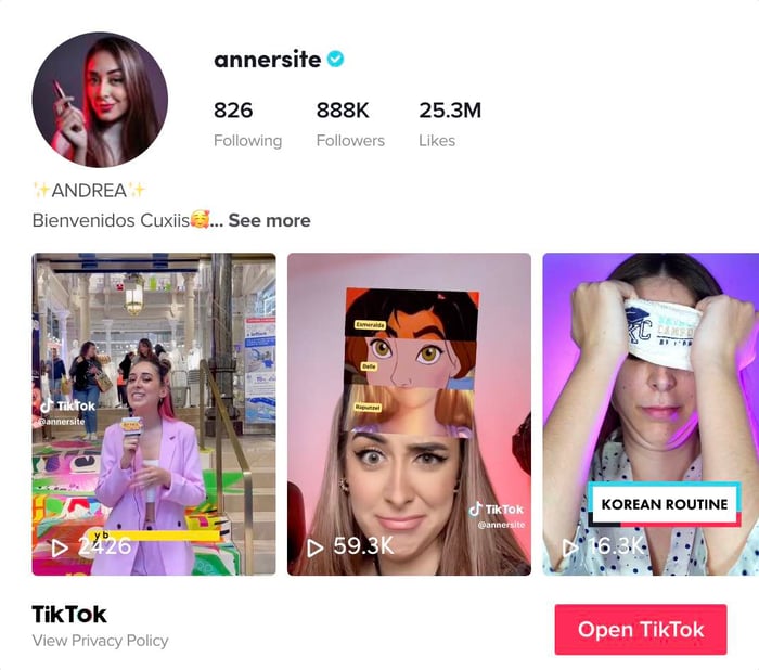 TikTok Creativity Program