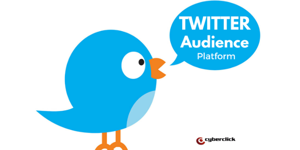 Twitter_Audience_Platform-1.png