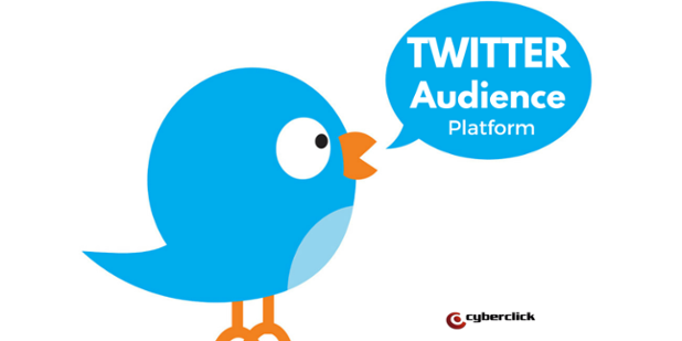 Twitter Audience Platform