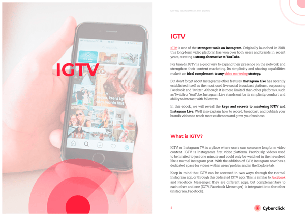 inside look igtv