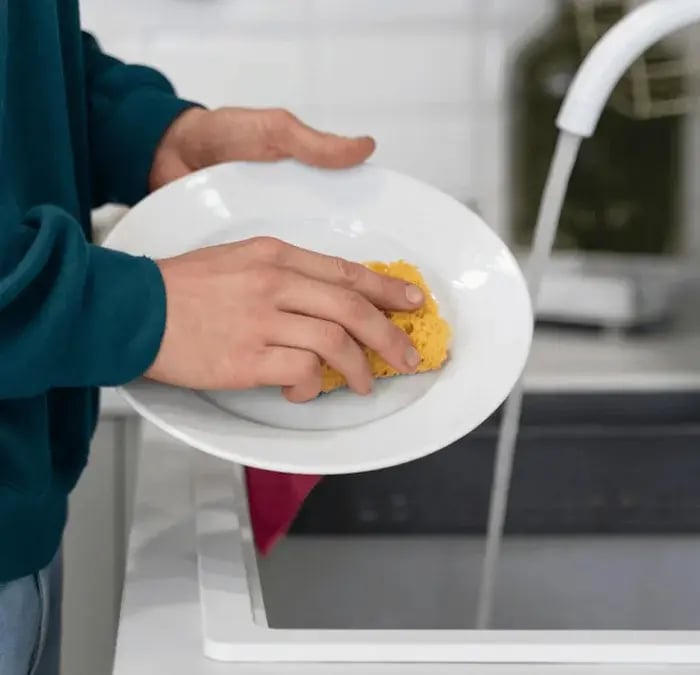 Wash a plate in the sink