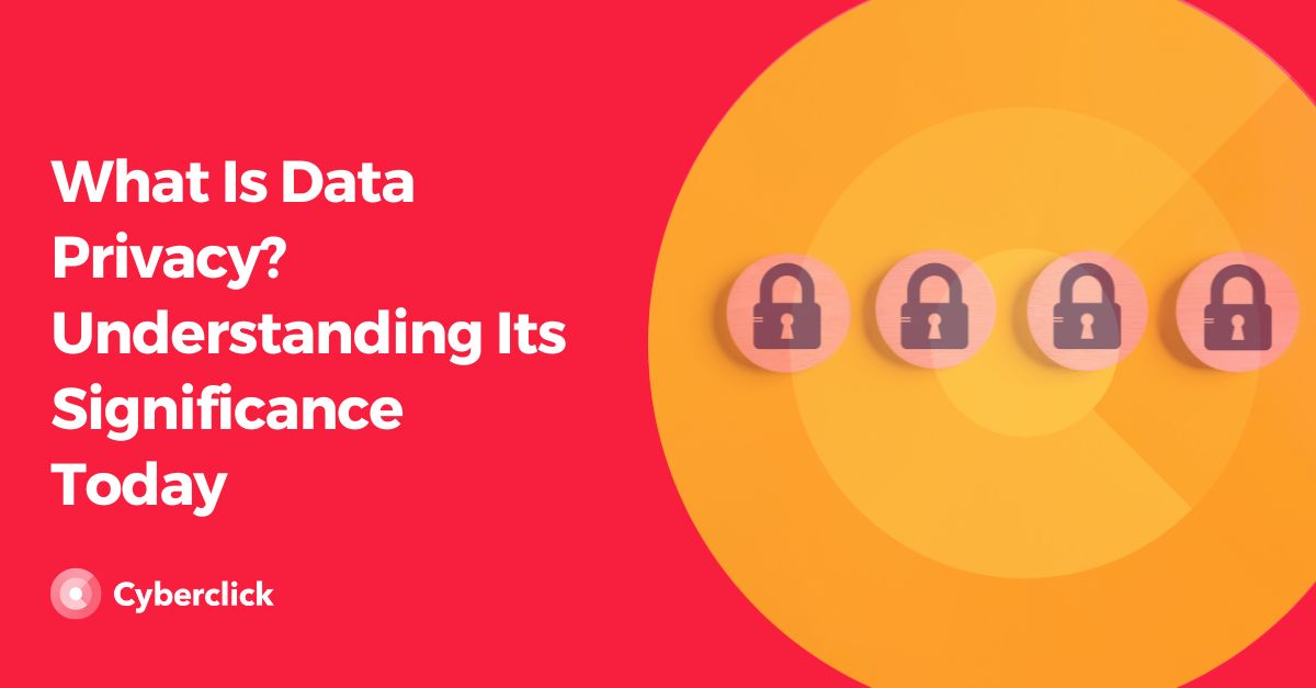 What Is Data Privacy