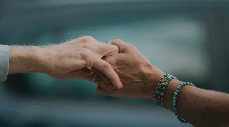 Chief Empathy Officer How Empathy Drives a Healthy Company Culture