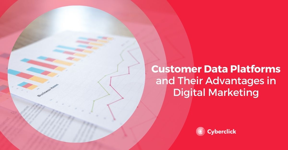 Customer Data Platforms and Their Advantages in Digital Marketing