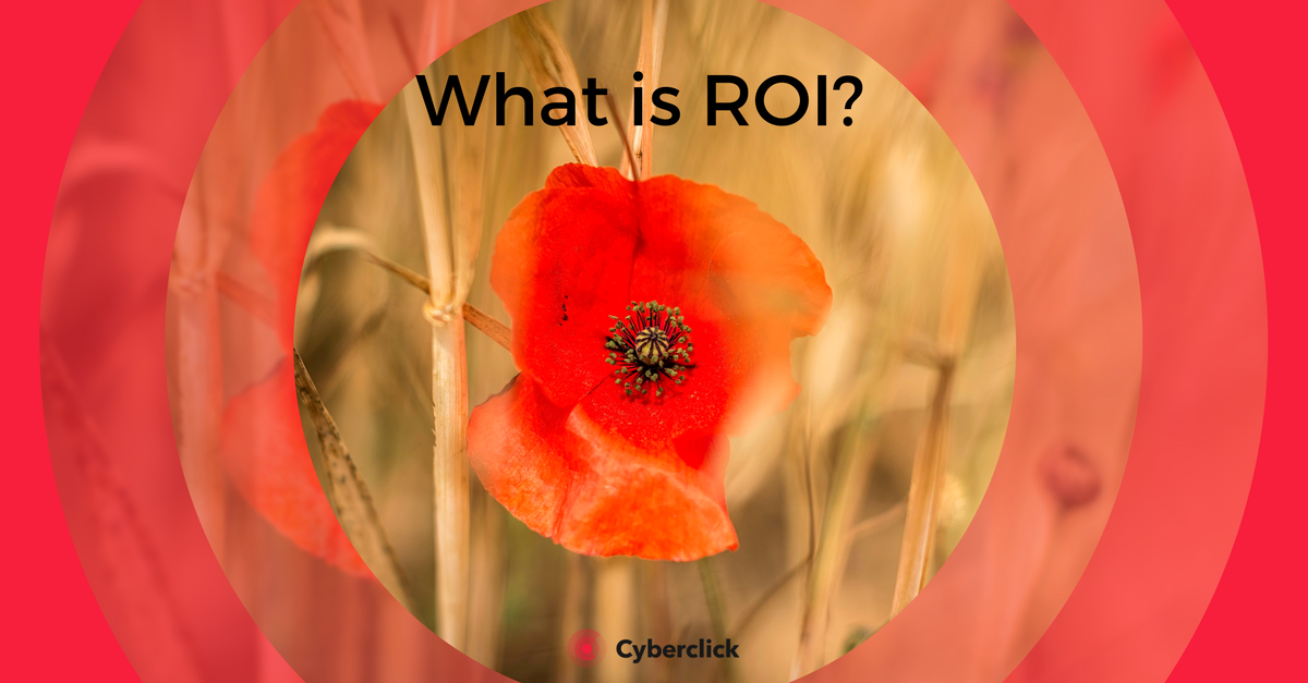 What is ROI (1)