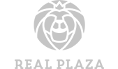 v3_real plaza